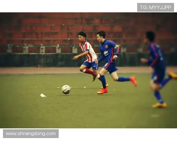 武汉足球队的节奏探秘：从历史到未来的全面分析与展望